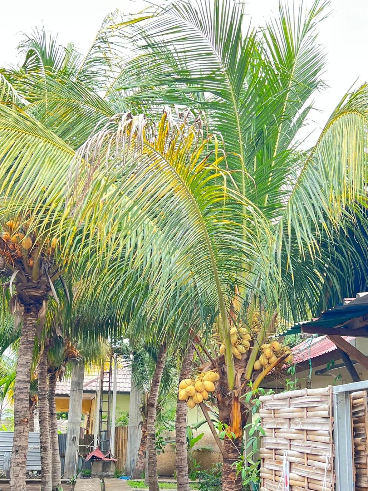 Bias Bungalows Gili Air Esterno foto