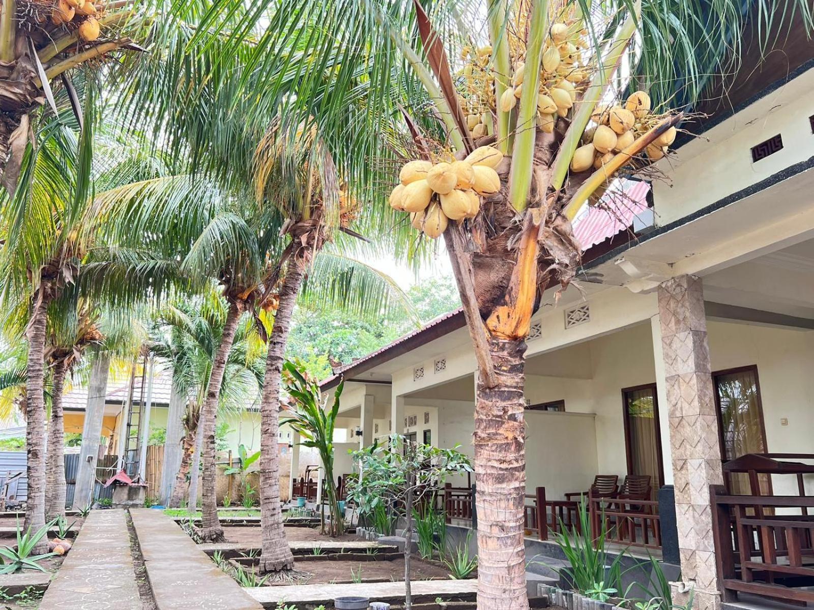 Bias Bungalows Gili Air Esterno foto